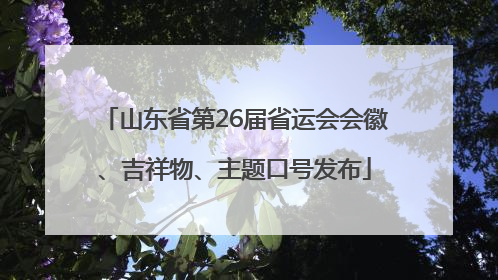 山东省第26届省运会会徽、吉祥物、主题口号发布