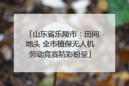 山东省乐陵市：田间地头 全市植保无人机劳动竞赛精彩纷呈