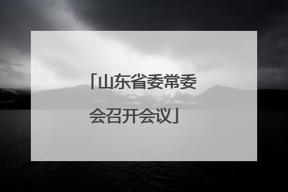 山东省委常委会召开会议