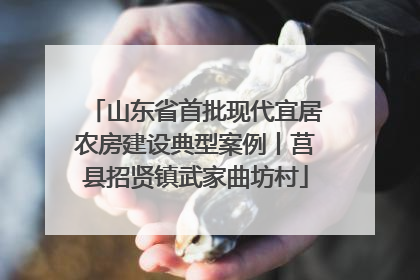 山东省首批现代宜居农房建设典型案例丨莒县招贤镇武家曲坊村