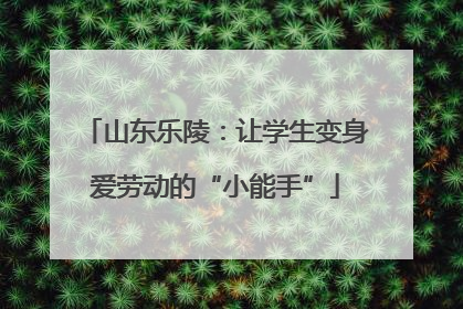 山东乐陵：让学生变身爱劳动的“小能手”