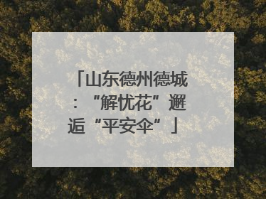 山东德州德城：“解忧花”邂逅“平安伞”