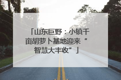 山东巨野：小镇千亩胡萝卜基地迎来“智慧大丰收”