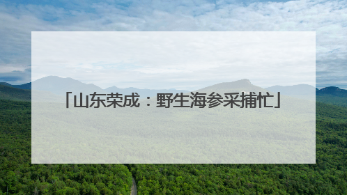 山东荣成：野生海参采捕忙