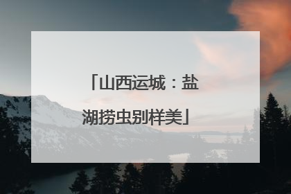 山西运城：盐湖捞虫别样美