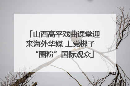 山西高平戏曲课堂迎来海外华媒 上党梆子“圈粉”国际观众