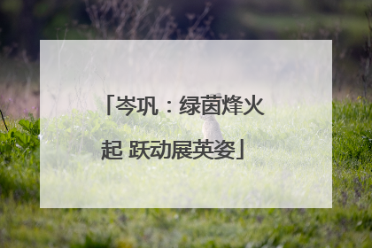 岑巩：绿茵烽火起 跃动展英姿
