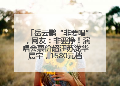 岳云鹏“非要唱”，网友：非要挣！演唱会票价超汪苏泷华晨宇，1580元档20秒抢空