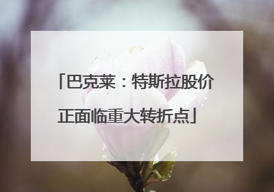 巴克莱：特斯拉股价正面临重大转折点