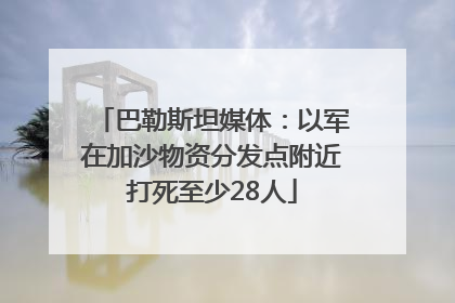 巴勒斯坦媒体：以军在加沙物资分发点附近打死至少28人