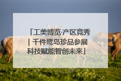 工美博览·产区竞秀｜千件鹭岛珍品参展 科技赋能智创未来
