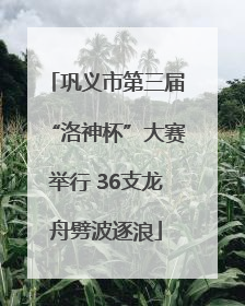 巩义市第三届“洛神杯”大赛举行 36支龙舟劈波逐浪