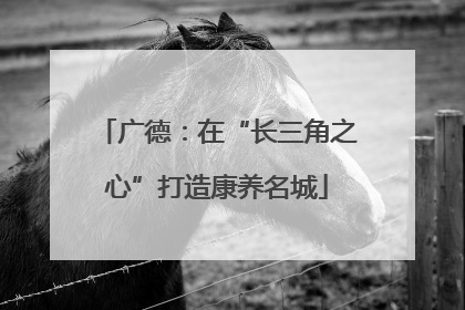 广德：在“长三角之心”打造康养名城