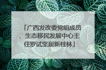 广西发改委党组成员、生态移民发展中心主任罗试坚履新桂林