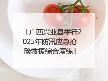广西兴业县举行2025年防汛应急抢险救援综合演练