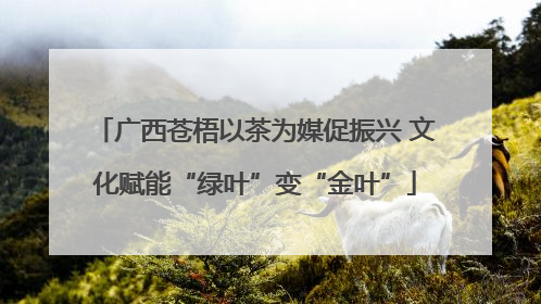 广西苍梧以茶为媒促振兴 文化赋能“绿叶”变“金叶”