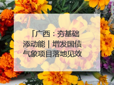 广西：夯基础 添动能｜增发国债气象项目落地见效系列报道