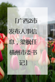 广西2市发布人事信息，梁枫任横州市委书记