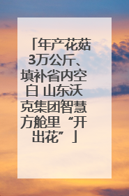 年产花菇3万公斤、填补省内空白 山东沃克集团智慧方舱里“开出花”
