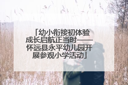 幼小衔接初体验 成长启航正当时——怀远县永平幼儿园开展参观小学活动