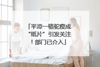 平潭一骆驼瘦成“纸片”引发关注！部门已介入