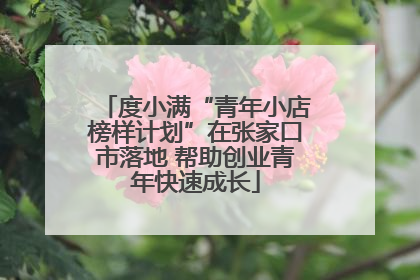 度小满“青年小店榜样计划”在张家口市落地 帮助创业青年快速成长