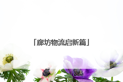 廊坊物流启新篇
