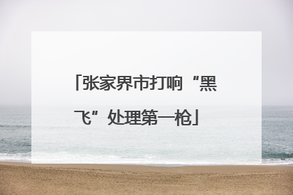 张家界市打响“黑飞”处理第一枪