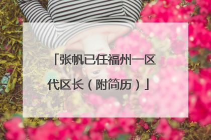 张帆已任福州一区代区长（附简历）