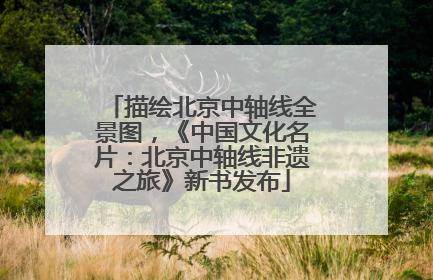 描绘北京中轴线全景图，《中国文化名片：北京中轴线非遗之旅》新书发布