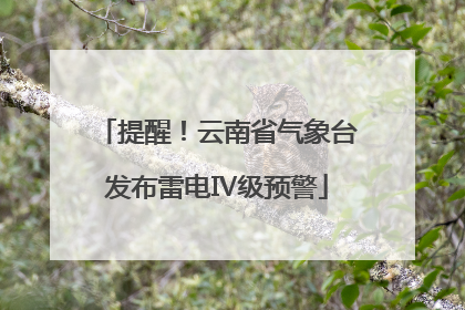 提醒！云南省气象台发布雷电Ⅳ级预警