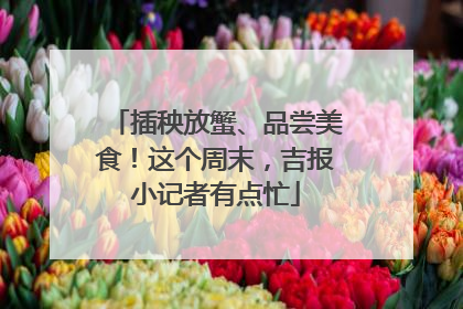 插秧放蟹、品尝美食！这个周末，吉报小记者有点忙