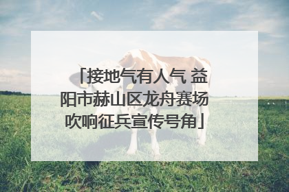 接地气有人气 益阳市赫山区龙舟赛场吹响征兵宣传号角