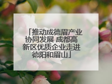 推动成德眉产业协同发展 成都高新区优质企业走进德阳和眉山