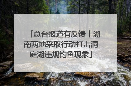 总台报道有反馈丨湖南两地采取行动打击洞庭湖违规钓鱼现象