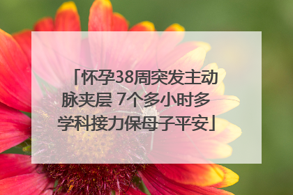 怀孕38周突发主动脉夹层 7个多小时多学科接力保母子平安