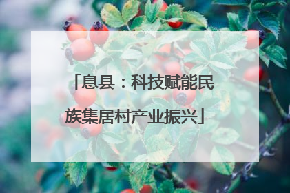 息县：科技赋能民族集居村产业振兴
