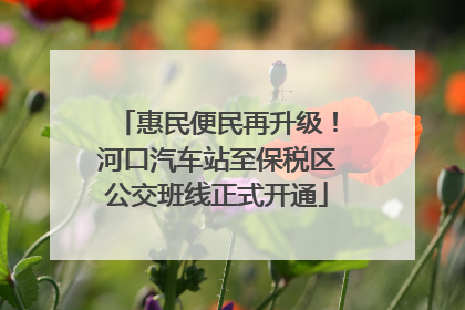 惠民便民再升级！河口汽车站至保税区公交班线正式开通