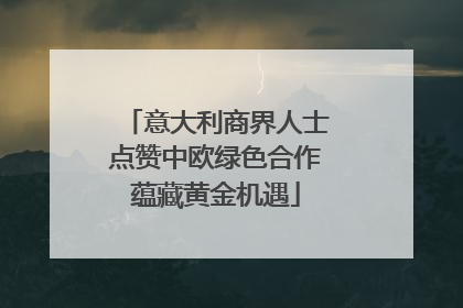 意大利商界人士点赞中欧绿色合作蕴藏黄金机遇