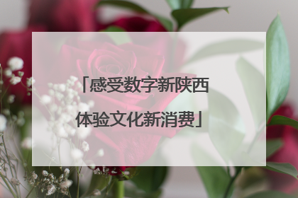 感受数字新陕西 体验文化新消费