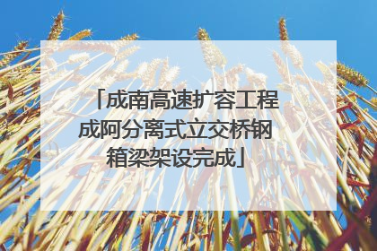成南高速扩容工程成阿分离式立交桥钢箱梁架设完成