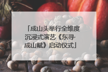 成山头举行全维度沉浸式演艺《东寻·成山赋》启动仪式