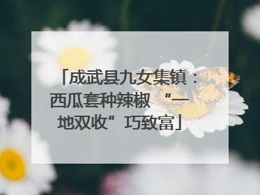 成武县九女集镇：西瓜套种辣椒 “一地双收”巧致富