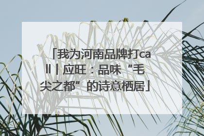 我为河南品牌打call丨应旺：品味“毛尖之都”的诗意栖居