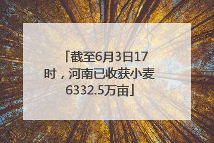 截至6月3日17时，河南已收获小麦6332.5万亩