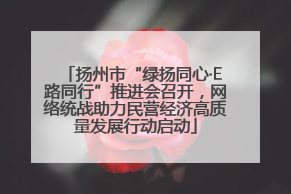 扬州市“绿扬同心·E路同行”推进会召开，网络统战助力民营经济高质量发展行动启动