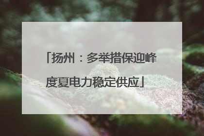 扬州：多举措保迎峰度夏电力稳定供应