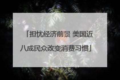 担忧经济前景 美国近八成民众改变消费习惯
