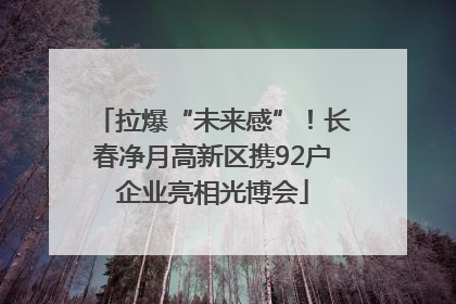 拉爆“未来感”！长春净月高新区携92户企业亮相光博会