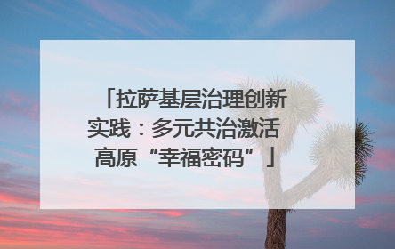 拉萨基层治理创新实践：多元共治激活高原“幸福密码”